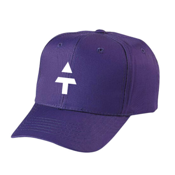 Thielen Foundation Purple Hat